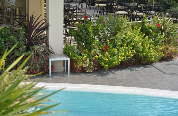 エミリア ロマーニャ イタリアのアドリア海 セルビア ホテル ピネッラのガーデン プール複合体 — ストック写真