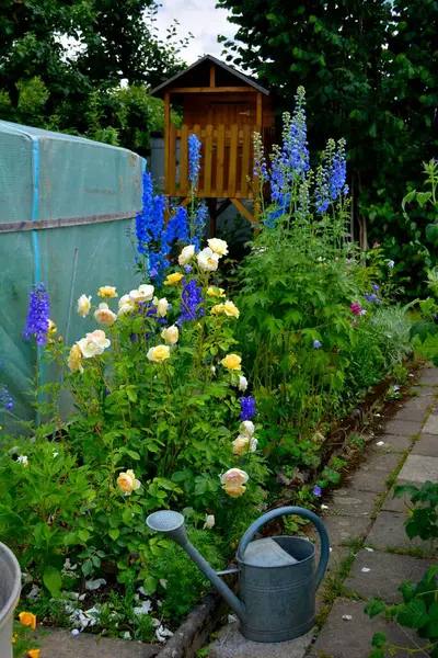 Floraison Jardin Vivace Vue Rapprochée — Photo