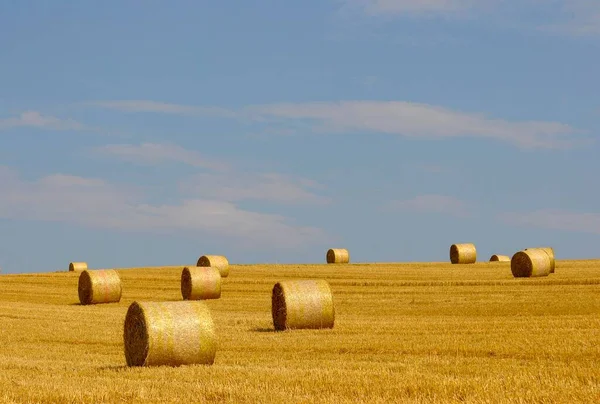 Kraichgau Straw Bales Grain Field Stubble Field — Stock Photo, Image