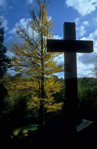 Cross Autumn Coloured Tree — Stock Photo, Image