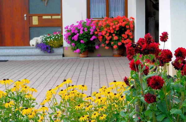 Casa Floresta Negra Com Jardim Flores Verão Flores Verão Diferentes — Fotografia de Stock