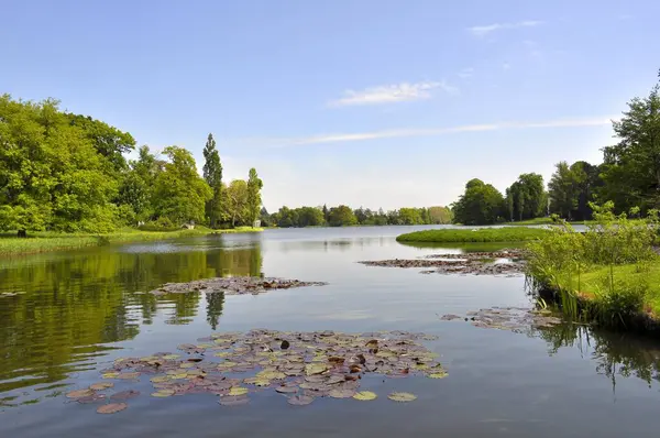 Dünya Mirası Alanı Wrlitz Park Wrlitz Gölü Wrlitz Garden Wrlitz — Stok fotoğraf