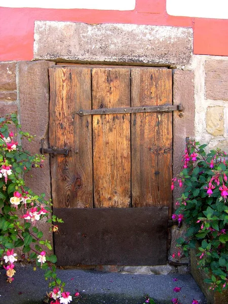 Old Wooden Door Flowers — Stock Photo, Image