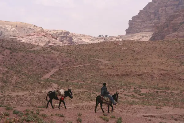 Man Donkey Rock City Petra Jordan Asia — Stock Photo, Image