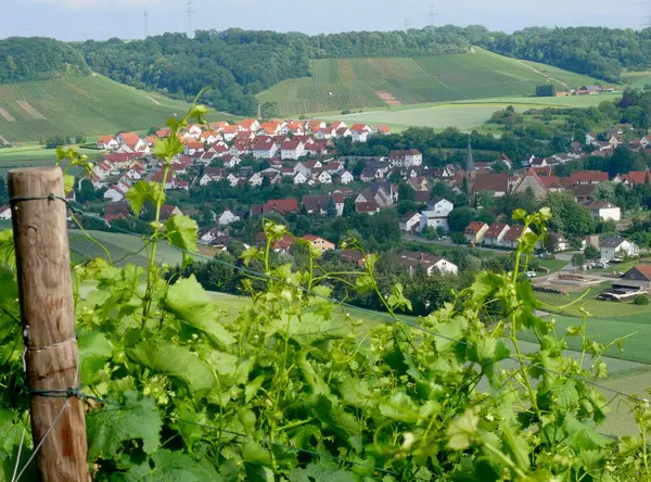 Kraichgau Bei Eppingen Baden Württemberg Felder Weinberge Waldlandschaft Ort Niederhofen — Stockfoto