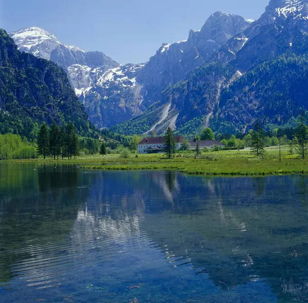 Almsee Sjön Almtal Dalen Söder Wels Med Tote Gebirge Bergen — Stockfoto