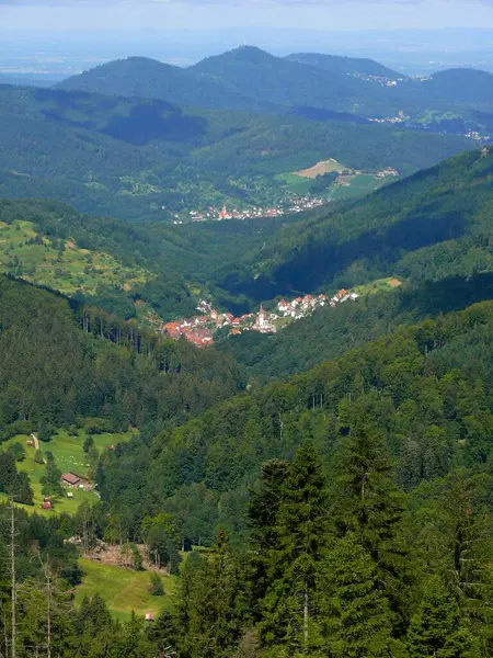 Northern Black Forest Kilátás Kaltenbronn Rictung Reichental Hegyvonulat Lucfenyő Erdő — Stock Fotó