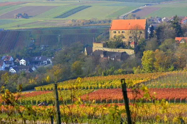 Baden Württemberg Weinlandschaft Herbst Michaelsberg Bei Cleebronn Mit Blick Auf — Stockfoto