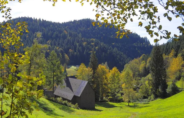 Schwarzwald Nära Alla Helgedomar Hösten Färgglad Höstskog Klosterruiner — Stockfoto