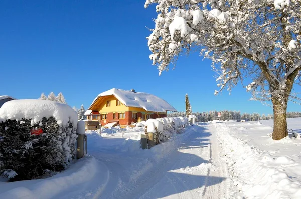 Single-family house with snow, cripple hip roof, northern Black Forest near Besenfeld with snow and ice, Black Forest in winter, spruce forest, Black Forest high road, birch in the snow