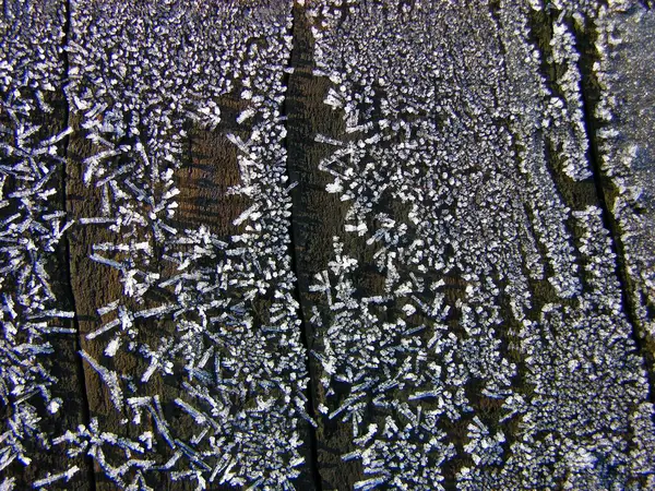 Ice Flowers Wood — Stock Photo, Image
