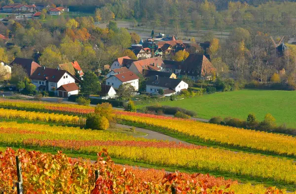 Baden Wurttemberg Cleebronn Tripsdrill Parc Attractions Vignobles Automne — Photo