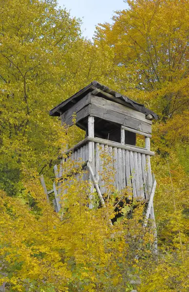 Kraichgau 秋天在森林边的猎人小屋 广阔的田野 — 图库照片