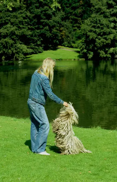 Young Blond Girl Playing Hungarian Dog Breed — Stok fotoğraf