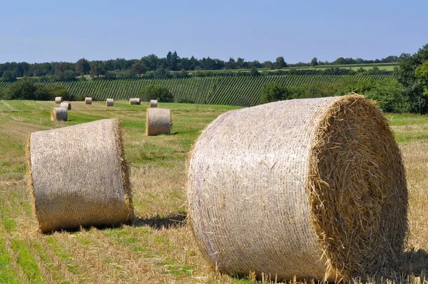 Strohballen Einem Getreidefeld Bei Knittlingen — Stockfoto