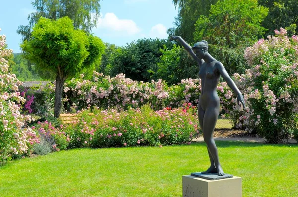 Rosenträdgård Oberderdingen Trädgårdsfigur Bronsstaty Naken Kvinna — Stockfoto