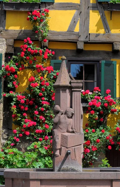 マウルブロン シュナイツの村で 赤いバラを登ります — ストック写真