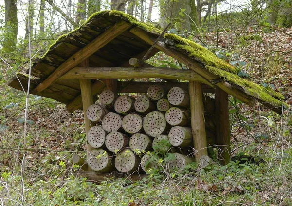 Houten Hut Het Bos Stammen Met Insectengaten Wildpark Tripsdrill — Stockfoto