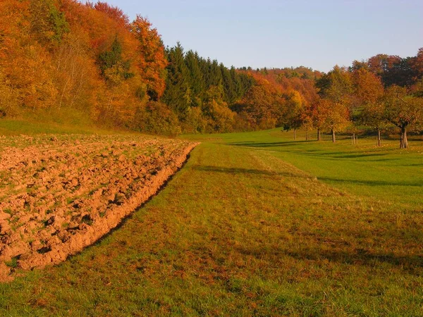 Feld Und Waldlandschaft Herbst Morgenlicht — Stockfoto