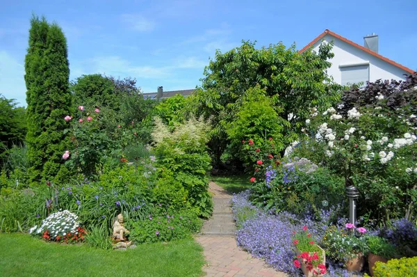 Giardino Fiorito Estate Casa Con Giardino Percorso Giardino — Foto Stock