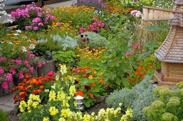バーデン ウォルテンベルク ブラックフォレストコテージガーデン 永遠の庭 さまざまな庭の花 — ストック写真