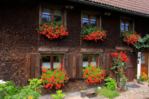 Dom Rustykalny Oknami Kwiatów Friedenweiler Black Forest — Zdjęcie stockowe