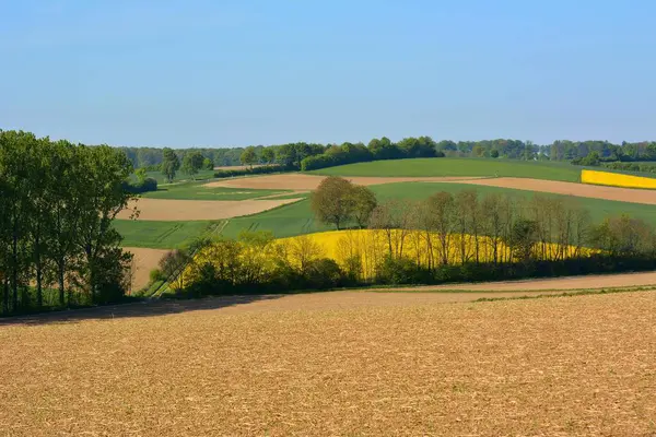 Landschap Met Velden Het Voorjaar Verkrachtingsveld Bloei Kraichgau Duitsland Europa — Stockfoto