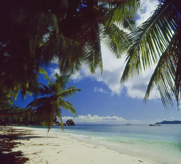 Ambiente Vacaciones Una Playa Arena Las Seychelles — Foto de Stock