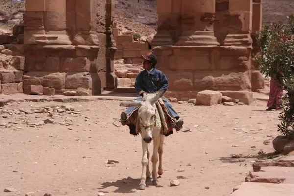 Chłopiec Jeździ Osiołku Przez Zrujnowane Miasto Petra Jordan Azja — Zdjęcie stockowe