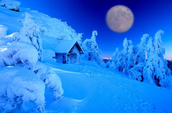 Landscape Snow Big Arber Full Moon — Stock Photo, Image