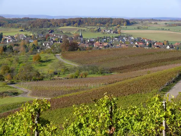 Sonbaharda Diefenbach Sternenfels Wrttemberg Şarabı Wrttemberg Şarap Yetiştiren Bölgesi Sonbaharda — Stok fotoğraf