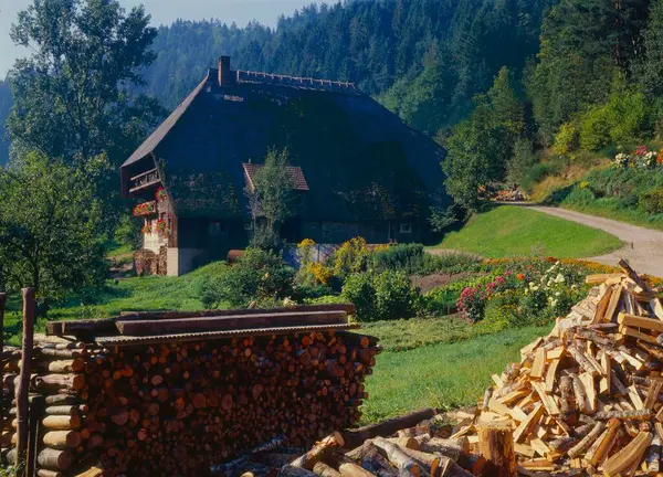 在黑森林中部的Gutachtal的第三宫种田 德国巴登 符腾堡农场是黑森林中部Gutachtal的第三宫 欧洲巴登 符腾堡 — 图库照片