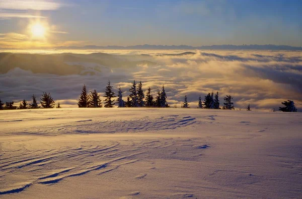 Vista Desde Belchen Hacia Los Alpes Paisaje Nevado Bosque Negro —  Fotos de Stock