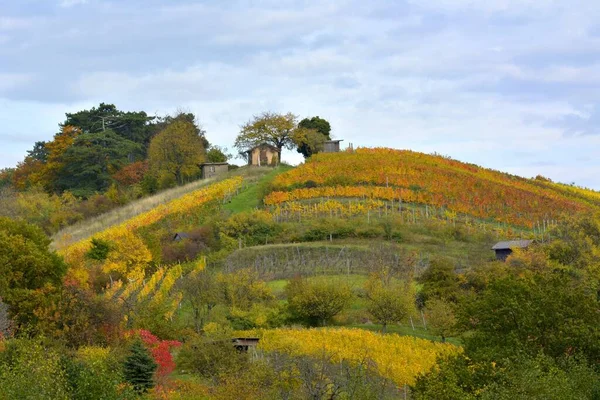 Sulzfeld Colourful Vineyards Autumn Vineyard Huts Kraichgau — Stock Photo, Image