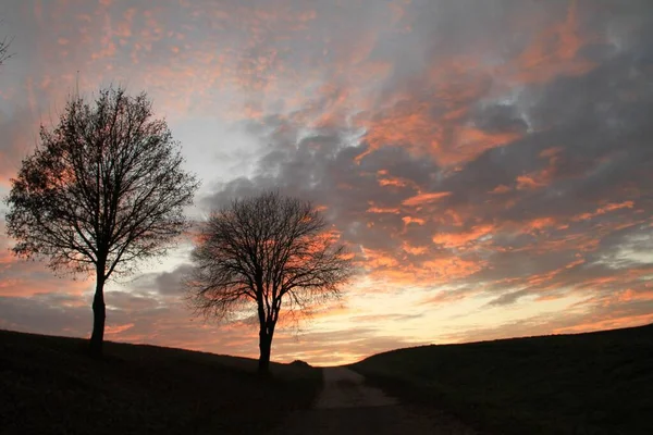 Zachód Słońca Gołymi Drzewami Jesienią Herblingen Dystrykt Donau Ries Swabia — Zdjęcie stockowe