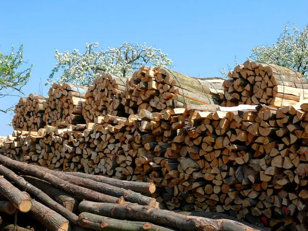 Brennholzlager Gestapeltes Brennholzlager — Stockfoto