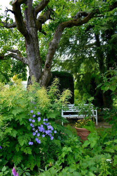White Garden Bench Perennial Garden Bloom Apple Tree Garden — Stock Photo, Image