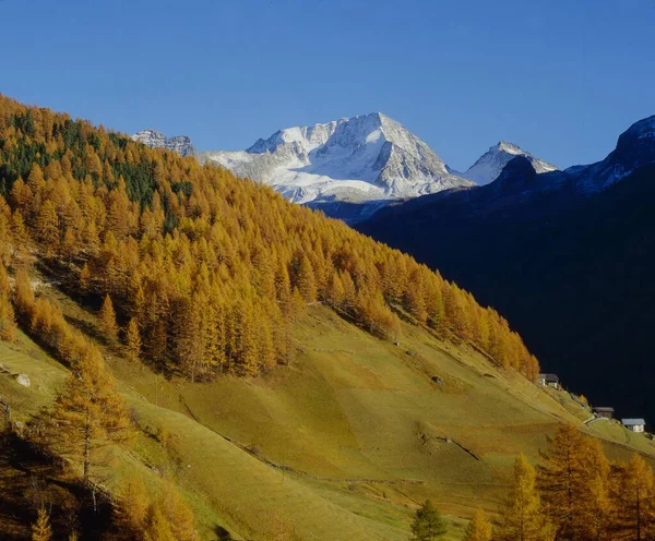 Herbst Regen Taufers Mit Blick Auf Hochgall Der Rieserfernergruppe Südtirol — Stockfoto