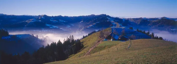 Maple Emmental Canton Bern Zwitserland Europa — Stockfoto