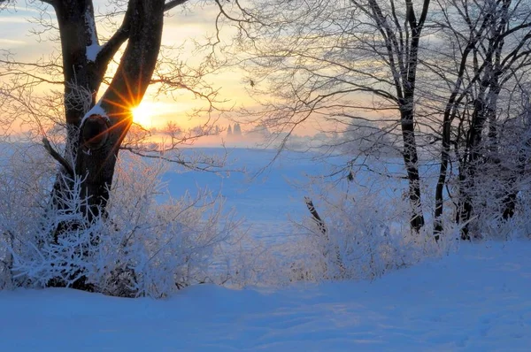Wschód Słońca Śniegiem Maulbronn Poranny Nastrój Mgła Śniegiem Polna Droga — Zdjęcie stockowe