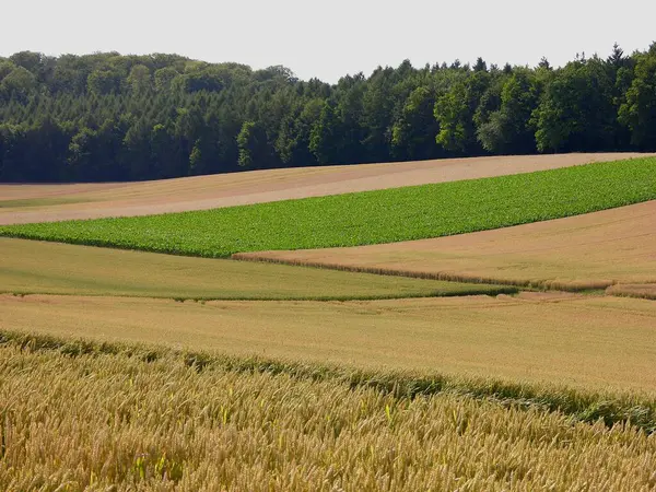 Paesaggio Campo Kraichgau Germania Europa Vista Diurna — Foto Stock