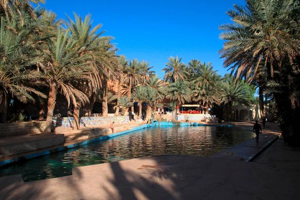 Bathing Pleasure Blue Spring Meski South Errachidia Morocco — Stock Photo, Image
