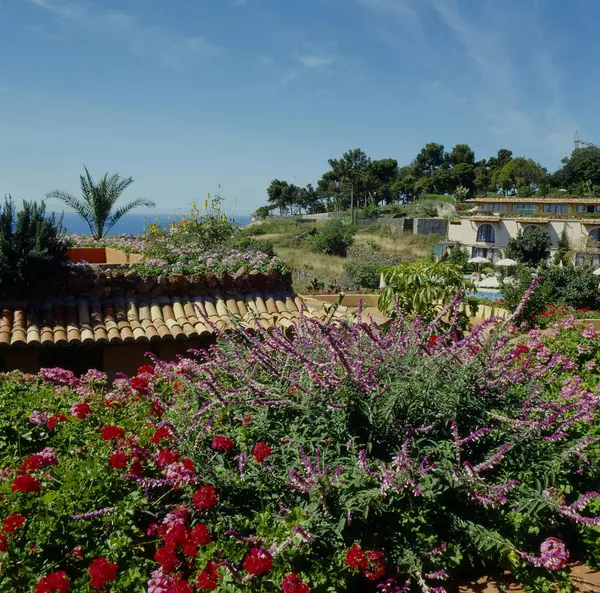 Quinta Splendida Канаці Надзвичайно Функціонуючий Зірковий Житловий Комплекс Мадейра Португалія — стокове фото