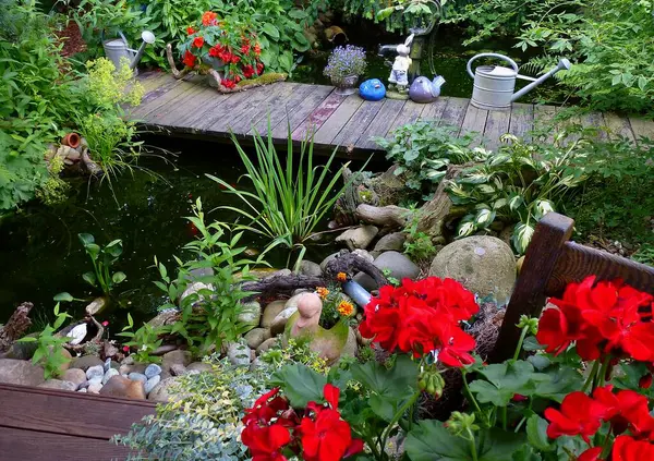 Gartenteich Sommer Mit Gartenblumen — Stockfoto