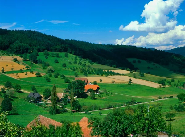 Peternakan Dekat Biberach Black Forest Baden Wrttemberg Jerman Eropa — Stok Foto
