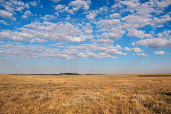 Krajobraz Stepowy Pobliżu Balqash Kazachstan — Zdjęcie stockowe