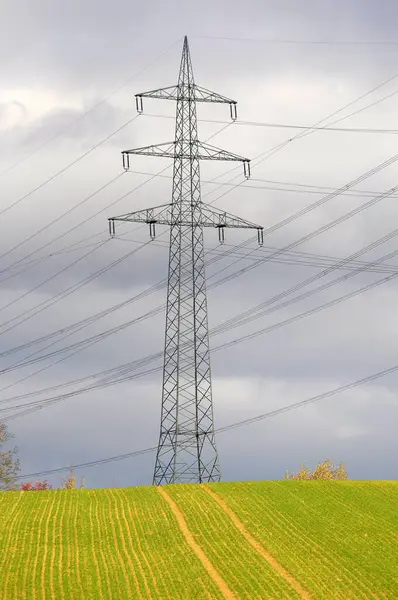 Electric Overhead Power Pole Field Power Poles Field Power Lines — Stock Photo, Image