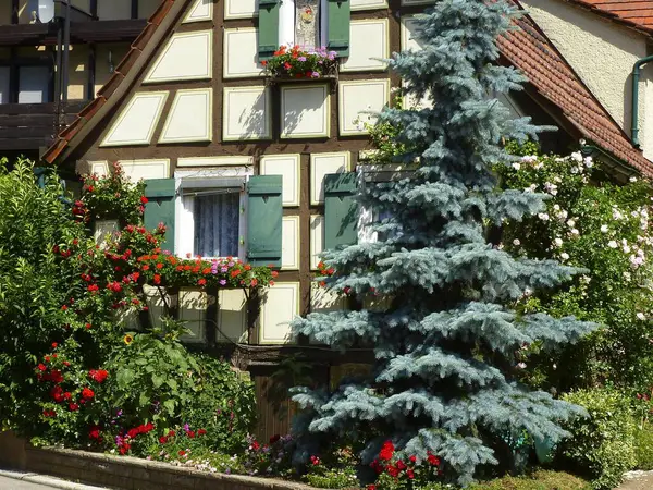 Small Half Timbered House Floral Decoration Blue Spruce — Stock Photo, Image