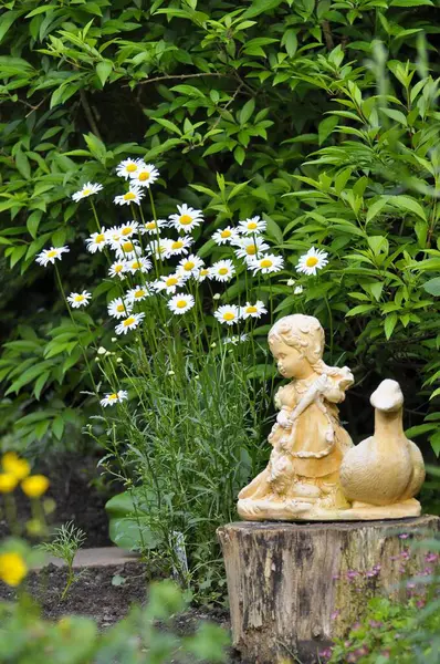 Garden figure with daisies, ox-eye daisy (Leucanthemum vulgare)