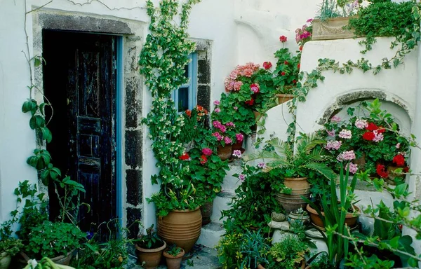 Κήπος Ταράτσας Παλιά Εξώπορτα Λευκό Πέτρινο Τοίχο Γλάστρες Μεσογειακός Καλοκαιρινός — Φωτογραφία Αρχείου